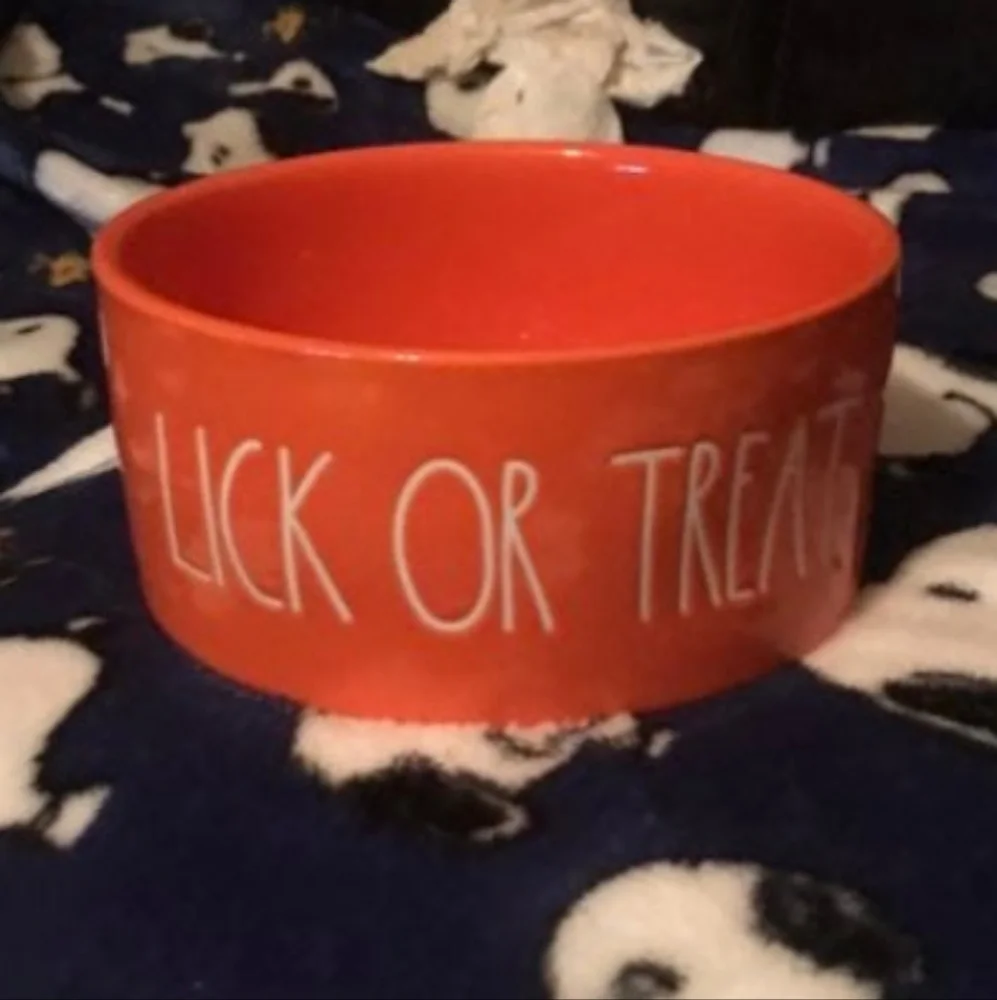 NWT Rae Dunn by Magenta Lick or Treat Medium Pet Dish